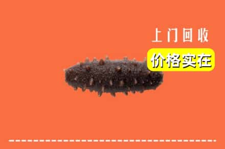 收购资讯:达州市宣汉回收海参