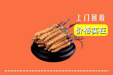 达州市宣汉回收冬虫夏草